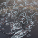 Illustration for article titled This Spellbinding Star Map Will Make Your Inner Space Geek Drool